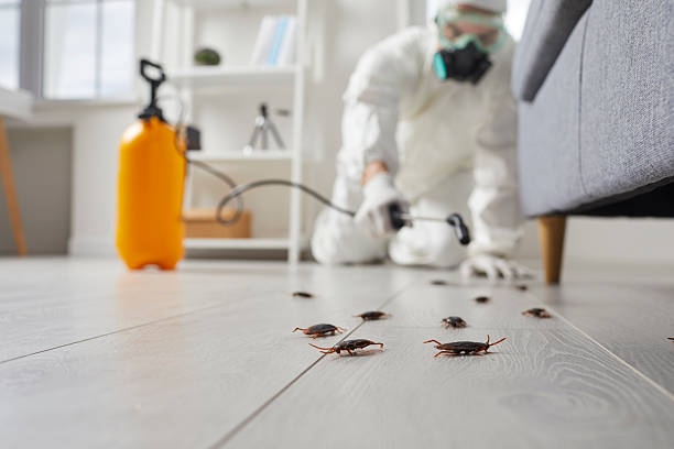 Commercial Kitchen Cockroach Control in Fox Island